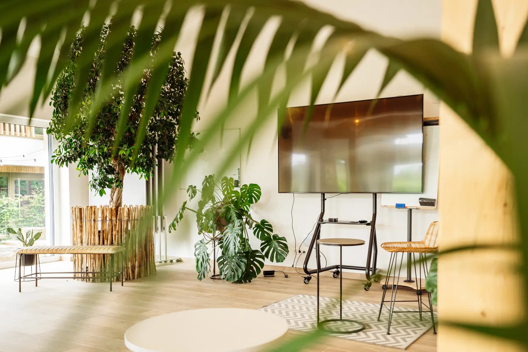 Heller Seminarraum mit Pflanzen, Bildschirm und Blick in den Garten
