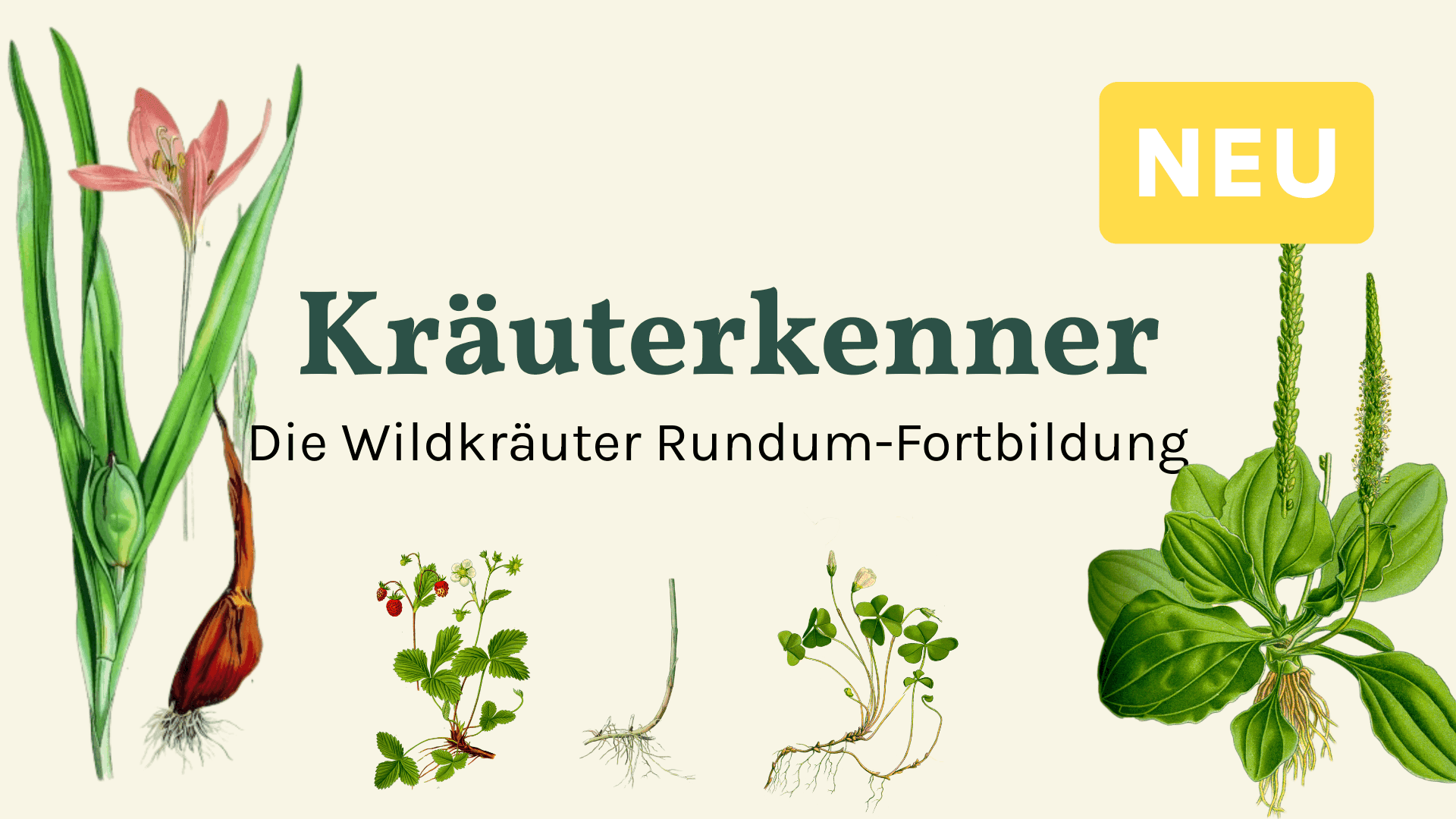 Kräuterkenner
