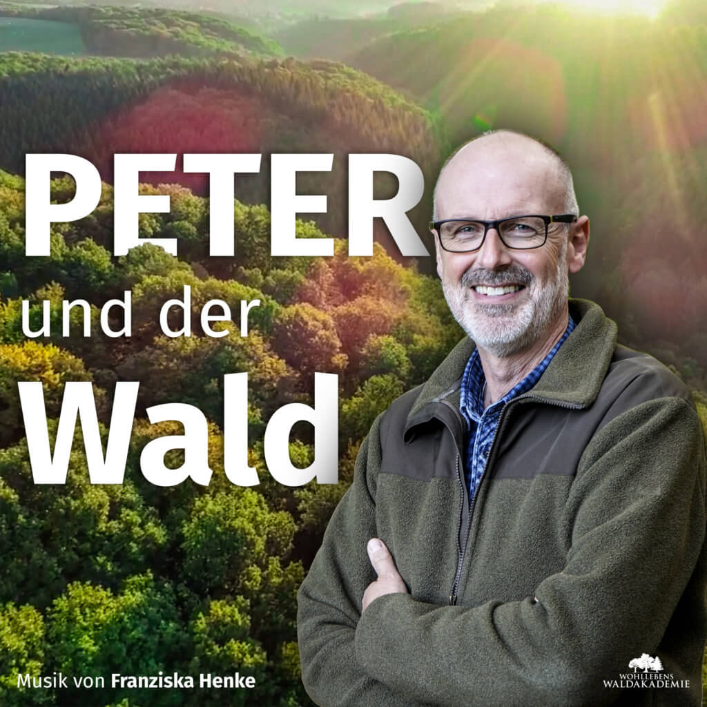 Peter und der Wald Podcast Cover
