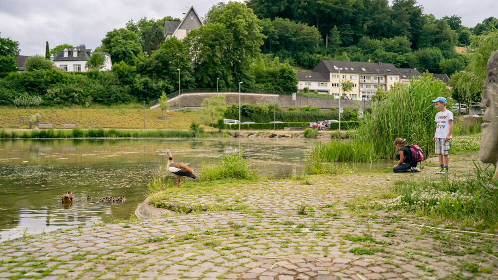 Naturpädagogik in der Stadt